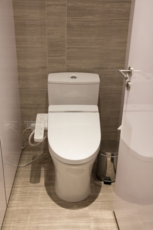 Toilet Bidet Installation