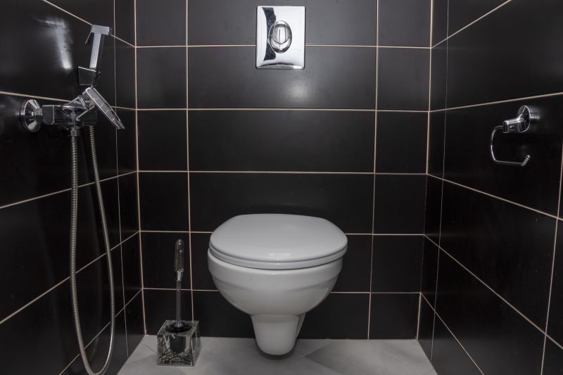 Toilet Bidet Installation