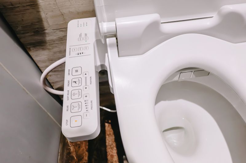 Modern Toilet Bidet Setup